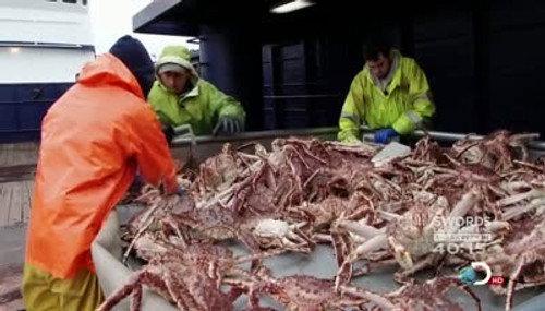 Deadliest Catch Season 7 Episode 6 - Exit Wounds