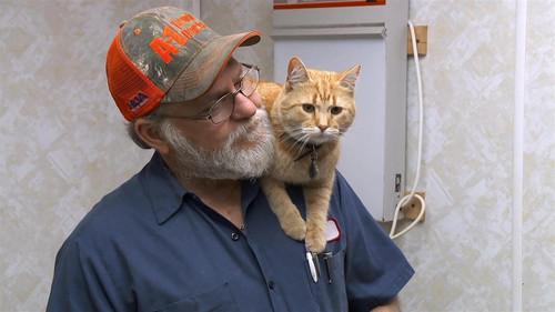 The Incredible Dr. Pol Season 16 Episode 5 - Fair-y Dogmother