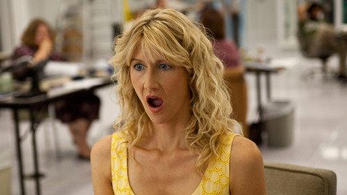 Enlightened Season 1 Episode 2 - Now or Never