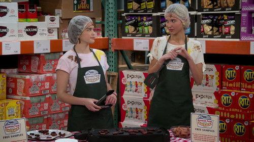 undefined Season 2 Episode 2 - ChoreCats