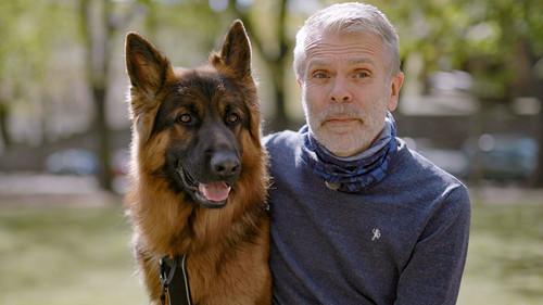 From bully to best friend Season 2 Episode 5 - Episode 5