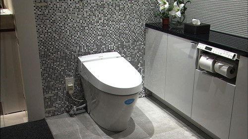 Japanology Plus Season 3 Episode 22 - Toilets