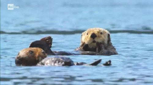 Superquark Season 24 Episode 1 - Episode 1