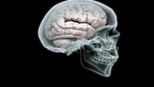 Comme par magie Season 1 Episode 3 - Episode 3