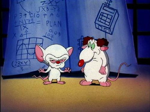 undefined Season 3 Episode 3 - Pinky & The Brain ...and Larry