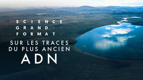 Science grand format Season 9 Episode 15 - Episode 15