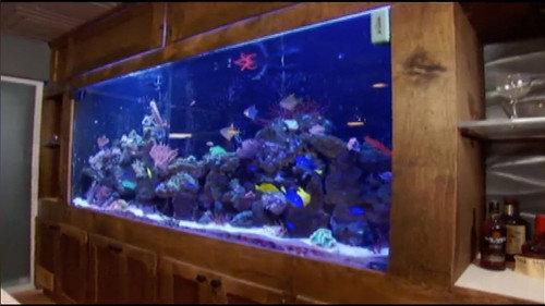Tanked Season 2 Episode 10 - For Love of the Game...Or Money?