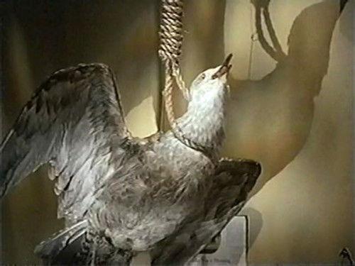 Remember WENN Season 3 Episode 15 - The Ghost of WENN