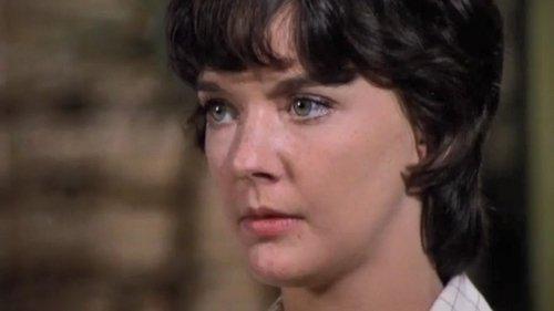 Mannix Season 8 Episode 3 - A Fine Day for Dying