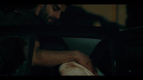 Background image for Why are we here?