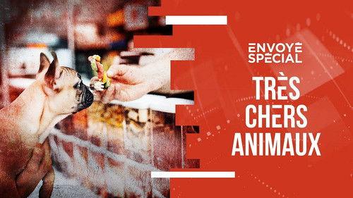 Envoyé Spécial Season 34 Episode 17 - Episode 17