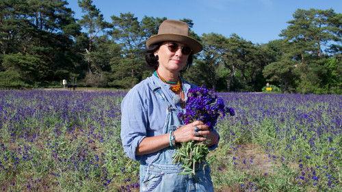 Så mycket bättre Season 15 Episode 2 - Episode 2