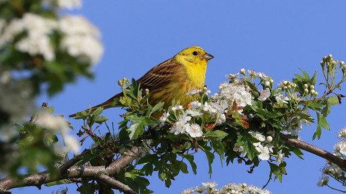 Springwatch Season 22 Episode 12 - Episode 12