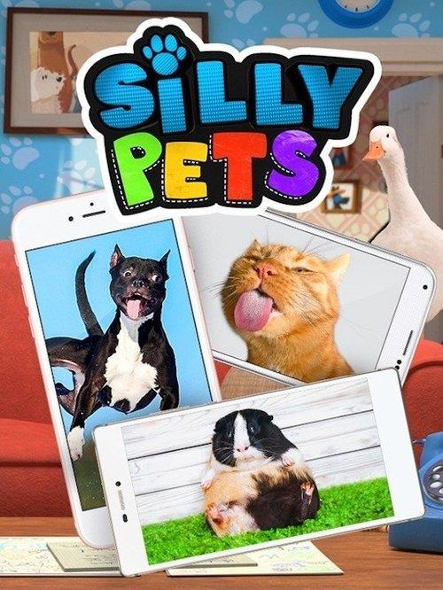 Silly Pets poster