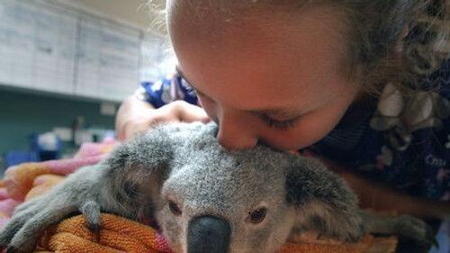 Izzy's Koala World Season 1 Episode 4 - Muffin Moves In