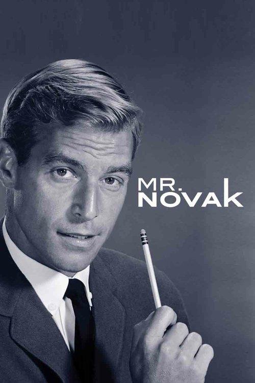 Mr. Novak poster