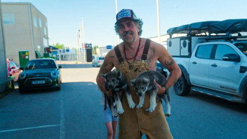 Hjälp, vi har köpt en bondgård! Season 6 Episode 3 - Episode 3