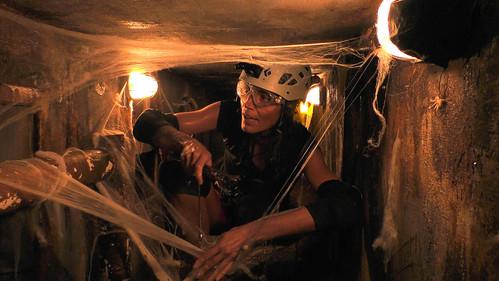 Ich bin ein Star – Holt mich hier raus! Season 16 Episode 2 - Episode 2