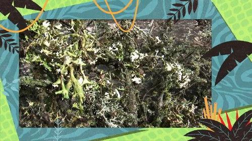 Kukurota Season 2 Episode 9 - Episode 9