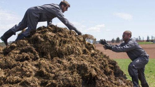 The Amazing Race Canada Season 2 Episode 10 - Hot Poop
