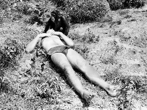 Tarzan Season 1 Episode 5 - The Prisoner