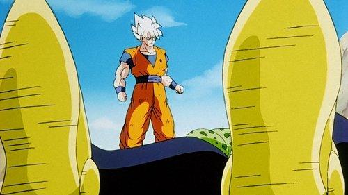 Dragon Ball Z Season 6 Episode 15 - The Fight is Over