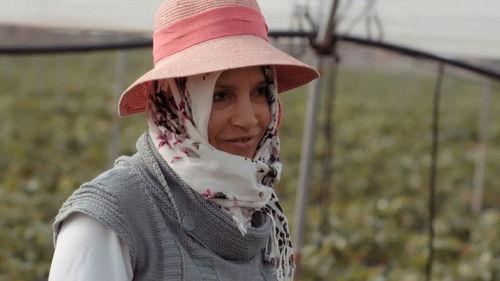 Salvados Season 14 Episode 15 - Episode 15