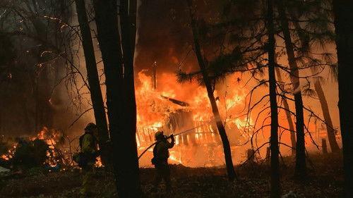 The Proof Is Out There Season 1 Episode 4 - Giant Serpents and Tiny Goblins