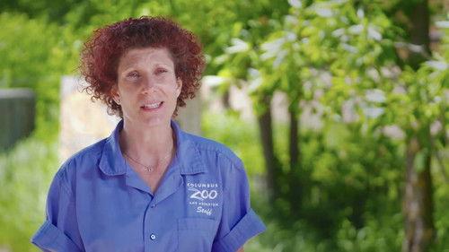 Background image for Dancing With the Devils