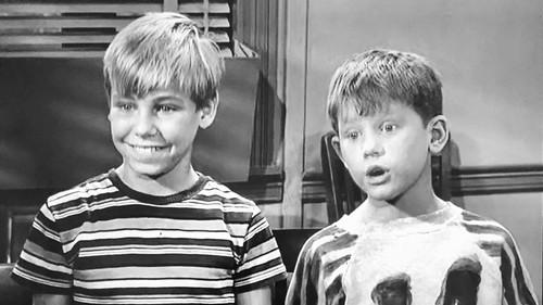 undefined Season 4 Episode 14 - Andy and Opie's Pal