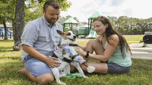 Background image for Indy