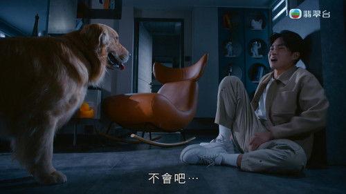 My Pet My Angel Season 1 Episode 2 - Episode 2