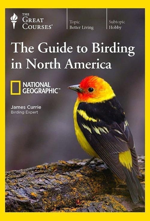 The National Geographic Guide to Birding in North America poster