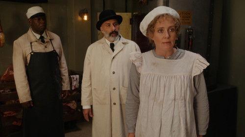 Murdoch Mysteries Season 19 Episode 13 - Murdoch in Hogtown