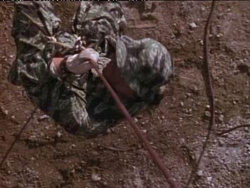 Background image for I Am What I Am