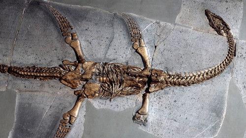 History's Greatest Mysteries Season 4 Episode 1 - The Loch Ness Monster