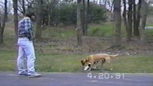 Funniest Pets & People Season 1 Episode 12 - It Takes Two