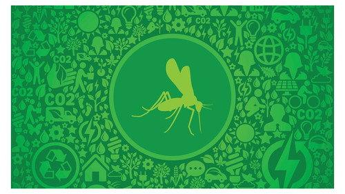 Mapping the World Season 29 Episode 6 - The worldwide distribution of mosquitoes