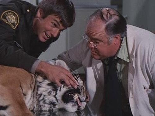 Emergency! Season 4 Episode 22 - 905-Wild