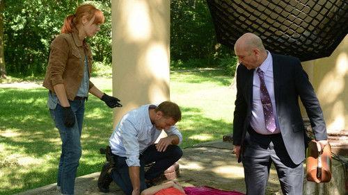 Komisarz Alex Season 10 Episode 8 - Episode 8