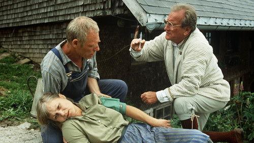 Die Schwarzwaldklinik Season 3 Episode 6 - Episode 6