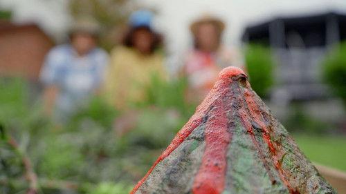 Gardening Australia Junior Season 1 Episode 11 - Dino Garden