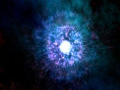 NOVA Season 1 Episode 1 - The Making Of A Natural History Film