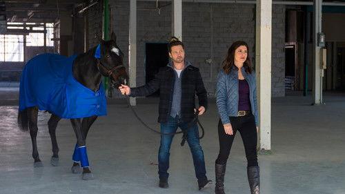Private Eyes Season 1 Episode 3 - The Money Shot