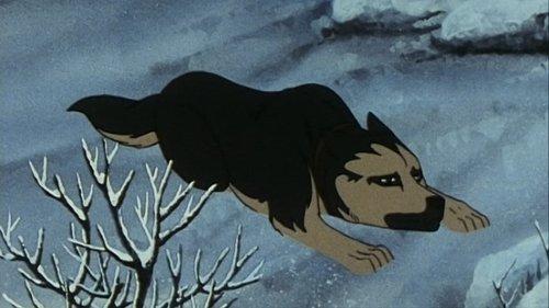 Silver Fang: The Shooting Star Gin Season 1 Episode 3 - The Friendship of Gin, Who Risked His Life