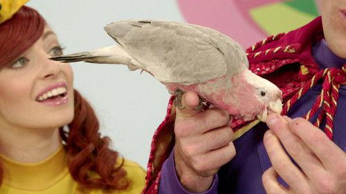 Ready, Steady, Wiggle! Season 2 Episode 15 - Beaky Can't Sing