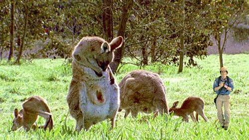 Andy's Wild Adventures Season 2 Episode 3 - Marsupials