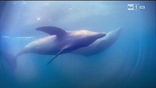 Superquark Season 21 Episode 3 - Episode 3