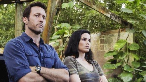 Hawaii Five-0 Season 10 Episode 3 - E uhi ana ka wa i hala i na mea i hala (Passing Time Obscures the Past)