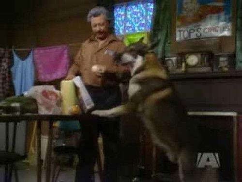 The Littlest Hobo Season 3 Episode 14 - The Clown